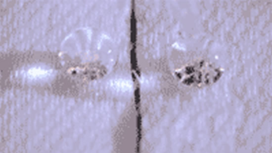 20190910132102_812
